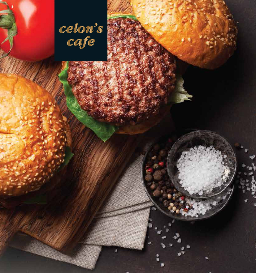 Burger Çeşitleri